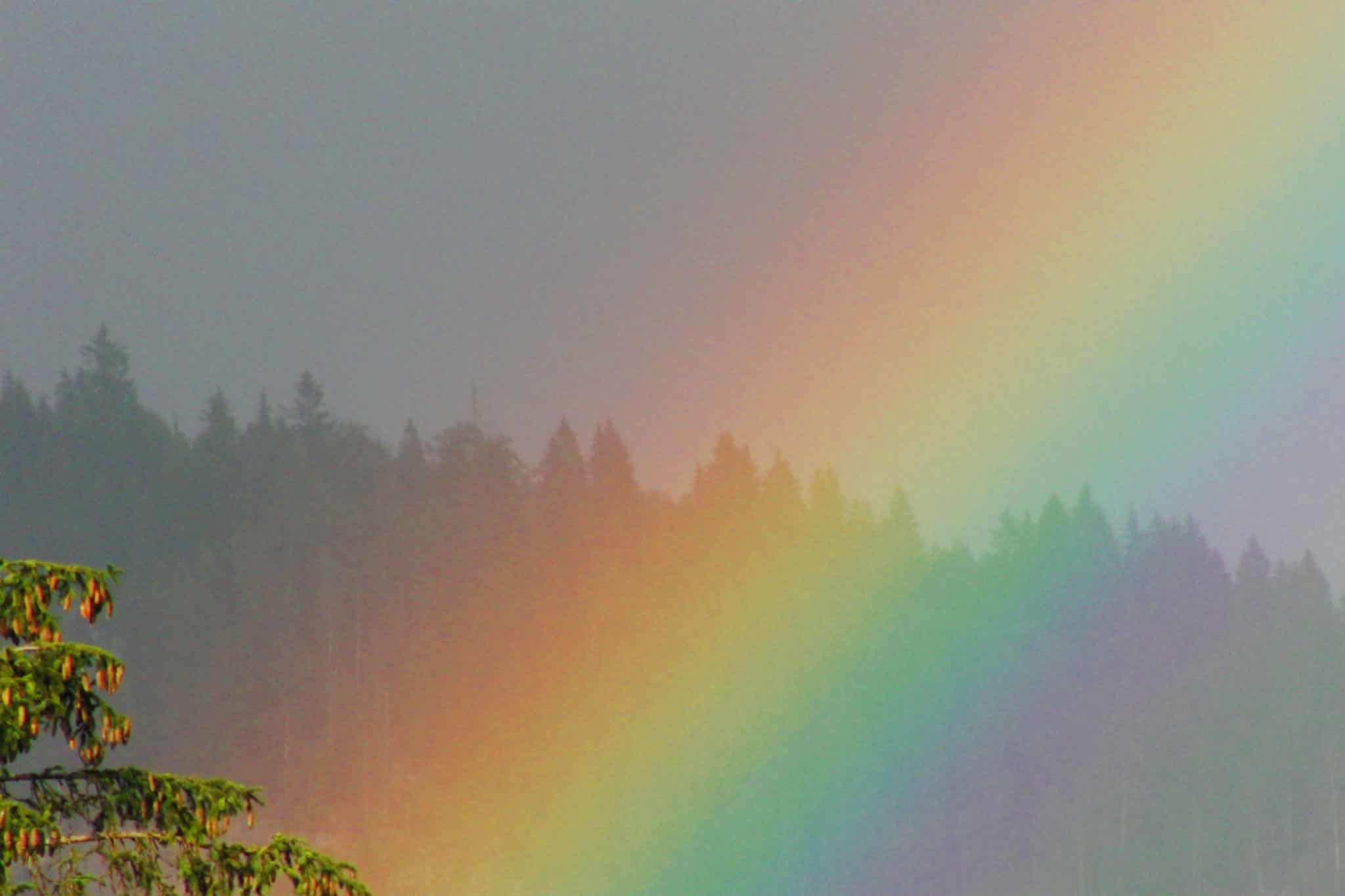 Regenbogen ganz nah - Sonnenalm Bad Mitterndorf